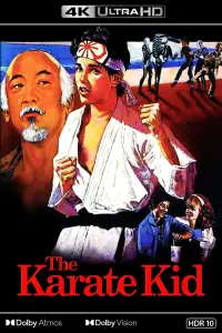 Poster to the movie "The Karate Kid" #649207