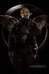 Poster to the movie "The Hunger Games: Mockingjay - Part 1" #917194