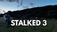 Backdrop to the movie "STALKED 3" #829034
