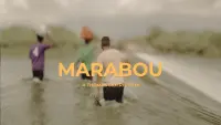 Backdrop to the movie "MARABOU" #680042