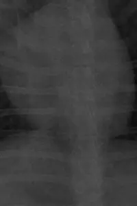 Poster to the movie "MI PEOR ENEMIGO." #657984