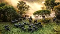 Backdrop to the movie "The Last Animals" #824084