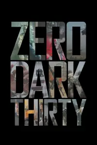 Poster to the movie "Zero Dark Thirty" #954269