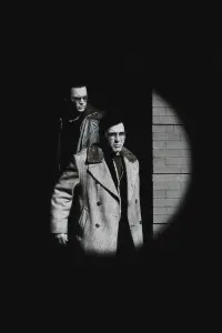Poster to the movie "Donnie Brasco" #857736
