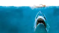Backdrop to the movie "Jaws" #520973