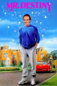 Poster to the movie "Mr. Destiny" #719447