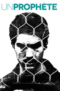 Poster to the movie "A Prophet" #806910