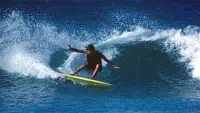 Backdrop to the movie "Fish: The Surfboard Documentary" #864997