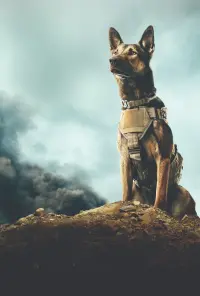 Poster to the movie "Max" #769634