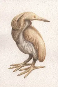 Poster to the movie "The Golden Squacco Heron" #834289