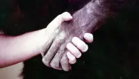 Backdrop to the movie "Lucy the Human Chimp" #896967