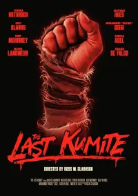 Poster to the movie "The Last Kumite" #1108286