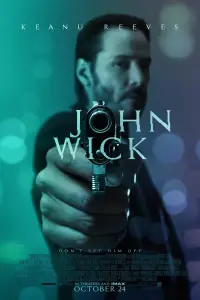 Poster to the movie "John Wick" #903253