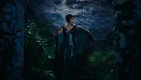 Backdrop to the movie "Kiss of the Spider Woman" #883855