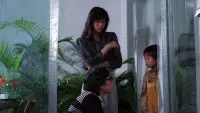 Backdrop to the movie "Sex Beyond the Grave" #799586