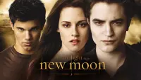 Backdrop to the movie "The Twilight Saga: New Moon" #19144