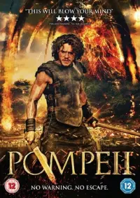 Poster to the movie "Pompeii" #97767