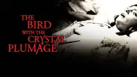 Backdrop to the movie "The Bird with the Crystal Plumage" #1117418