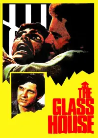 Poster to the movie "The Glass House" #1176852