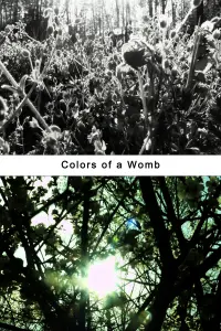 Poster to the movie "Colors of a Womb (an archetypal flight)" #761660