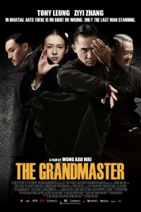 Poster to the movie "The Grandmaster" #1024140