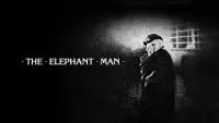 Backdrop to the movie "The Elephant Man" #124240