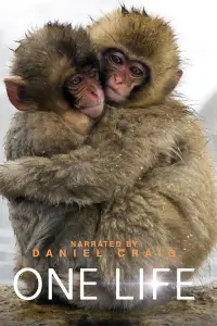 Poster to the movie "One Life" #1028221
