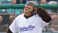 Backdrop to the movie "Come Home Monkey Boy" #689136