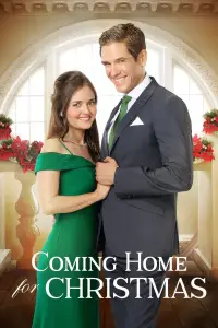 Poster to the movie "Coming Home for Christmas" #1109622