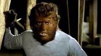 Backdrop to the movie "Dr. Jekyll vs. the Werewolf" #857548