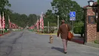 Backdrop to the movie "Three Wishes" #693582