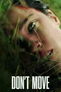 Poster to the movie "Don