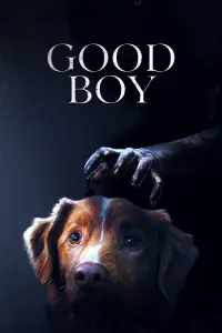 Poster to the movie "Good Boy" #1003487