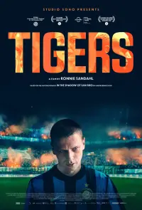Poster to the movie "Tigers" #729679