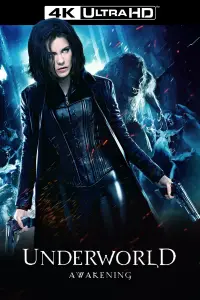 Poster to the movie "Underworld: Awakening" #961986