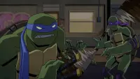 Backdrop to the movie "Batman vs Teenage Mutant Ninja Turtles" #782266