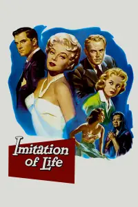 Poster to the movie "Imitation of Life" #1042041