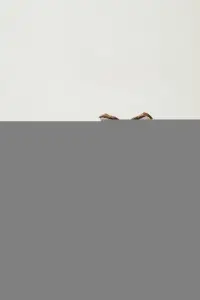 Poster to the movie "Ludwig" #1173687