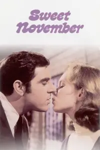 Poster to the movie "Sweet November" #603639