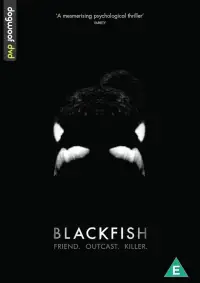 Poster to the movie "Blackfish" #1017645