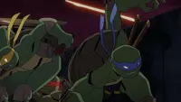 Backdrop to the movie "Batman vs Teenage Mutant Ninja Turtles" #782265