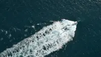 Backdrop to the movie "Kraken" #718229