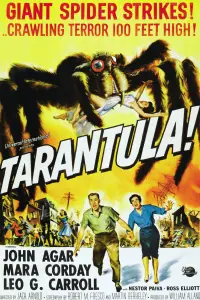 Poster to the movie "Tarantula" #721433