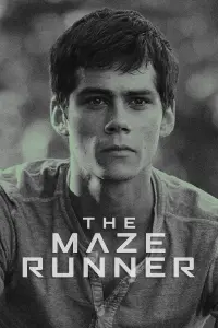 Poster to the movie "The Maze Runner" #739023