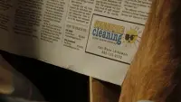 Backdrop to the movie "Sunshine Cleaning" #756339