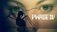 Backdrop to the movie "Phase IV" #999580