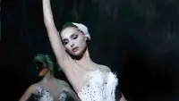 Backdrop to the movie "Black Swan" #595677