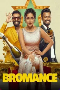 Poster to the movie "Bromance" #771581