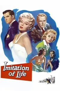 Poster to the movie "Imitation of Life" #1042034