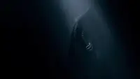 Backdrop to the movie "Nosferatu" #709636